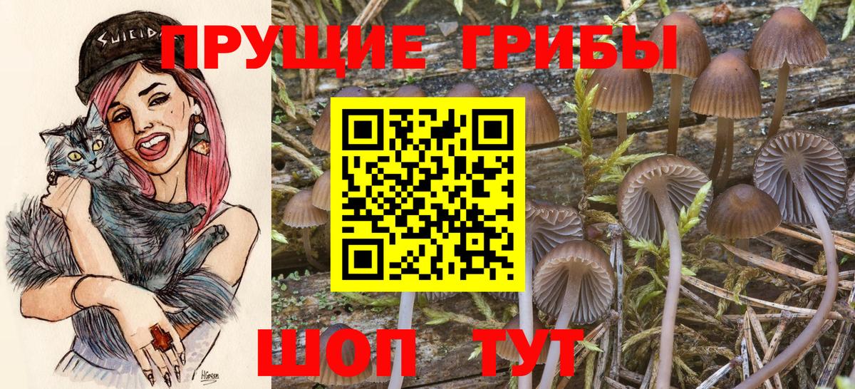 Псилоцибиновые грибы прущие грибы  Псилоцибиновые грибы MAGIC MUSHROOMS  Павловский Посад  Вход с VPN 