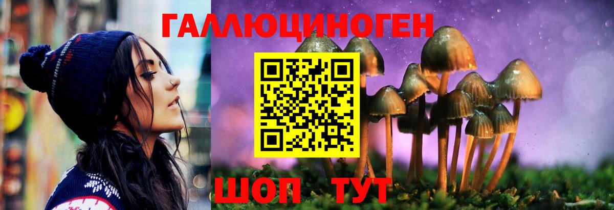 Галлюциногенные грибы Cubensis Павловский Посад